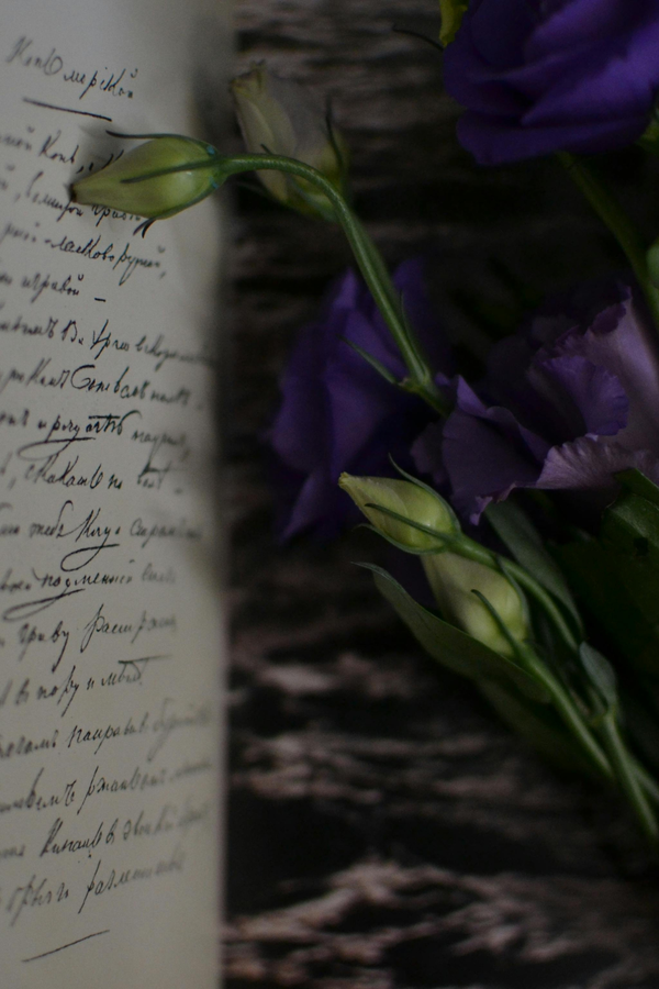 From Idea to Screen: Writing Your First Script